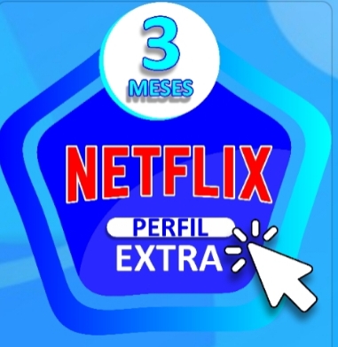 1 PERFIL NETFLIX (POR 3 MESES)