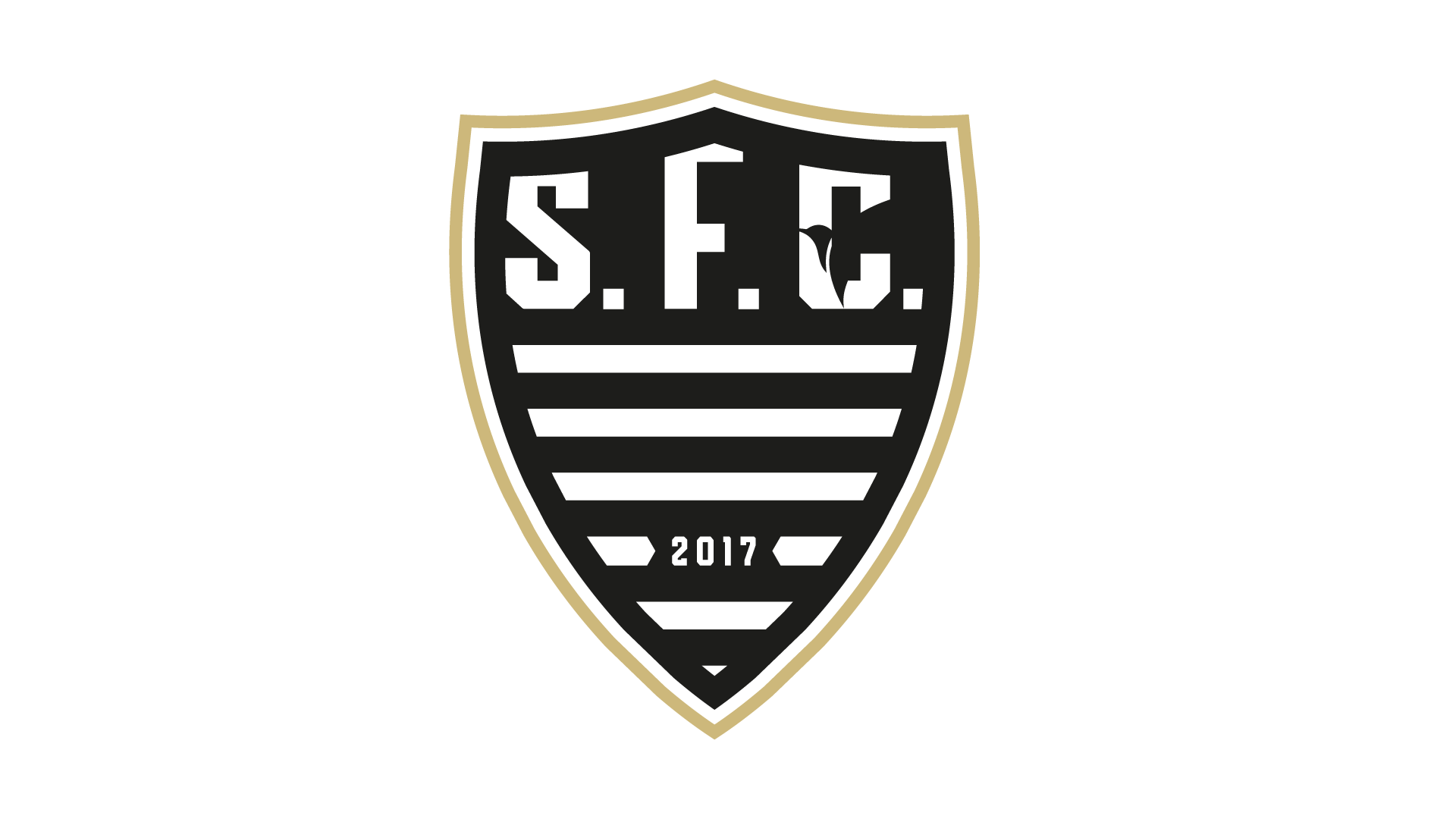 CLUB DEPORTIVO ESPECIALIZADO FORMATIVO SANTO DOMINGO FUTBOL CLUB
