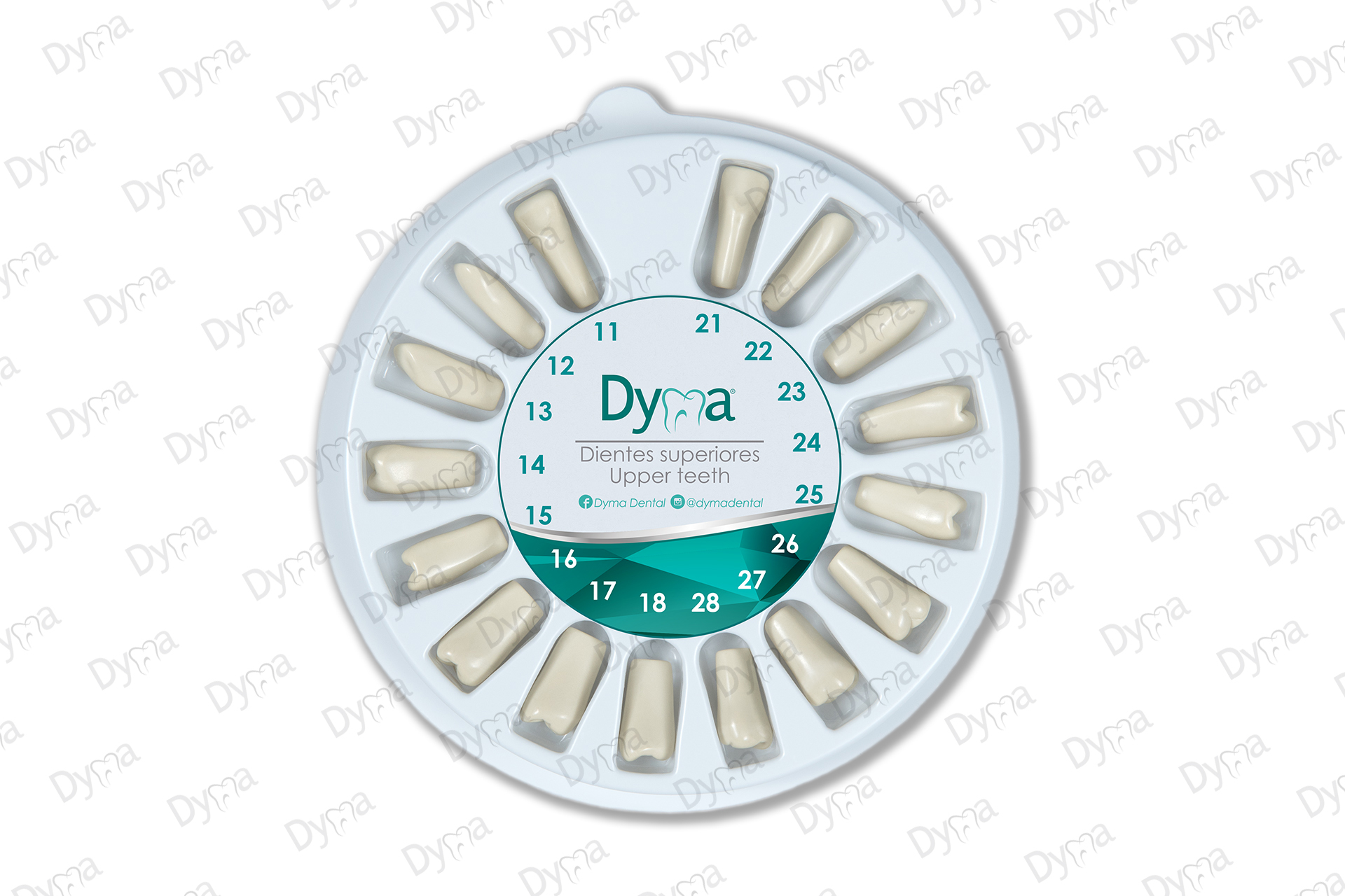 KIT DE DIENTES DE IVORINA SUPERIOR E INFERIOR